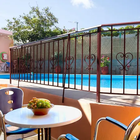 Olive Tree Apartment