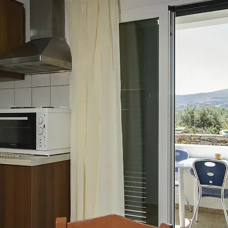 Olive Tree